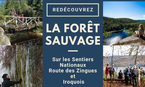 Sentier de randonnée pédestre